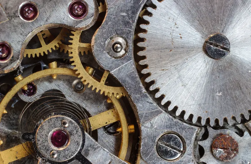 Gilt wheels and ruby jewels of a movement