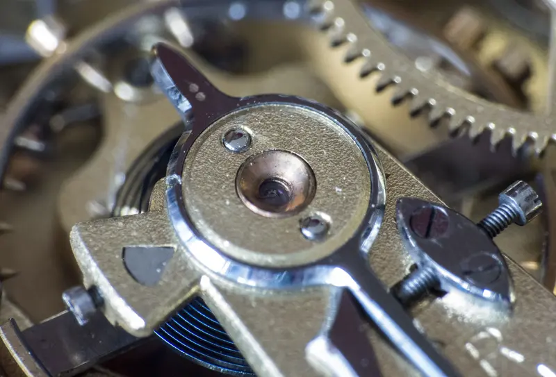 Balance cock and blued hairspring under magnification